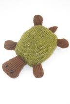 Molly the Traveling Turtle