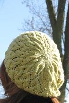 Ashley Slouchy Beret 