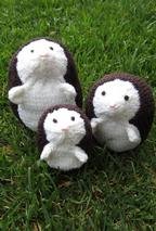 Hedgehog Family