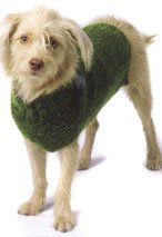 Essential Puppy Pullover