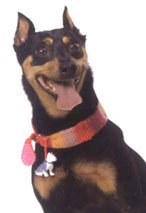 New Age Flea Collar Pattern