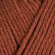 Blaze Heather Simply Cotton Worsted 10-Pack Full Bag