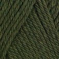 Envy Heather Simply Cotton Worsted 10-Pack Full Bag