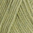 Green Tea Heather Simply Cotton Worsted 10-Pack Full Bag