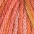 Queen Anne Swish Tonal 10-Pack Full Bag