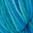 Blue Yonder Wool of the Andes Tonal 10-Pack Full Bag