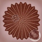 Feather & Fan Shawl Pattern