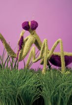 Praying Mantis Toy Pattern