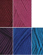 Easy Care Yarn Sampler - Bold